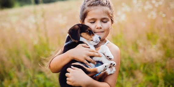 Alerji yöntemi için 20 öneri !