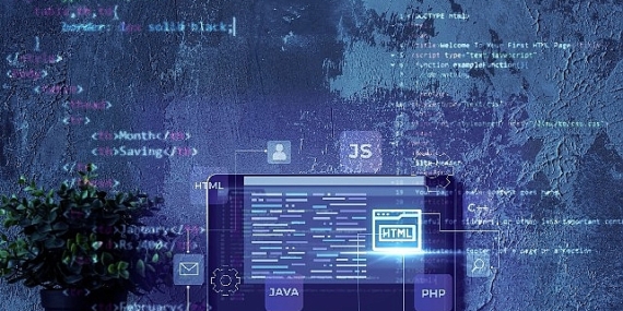 BT ve yazılım sektöründe sürdürülebilirliği kolaylaştıran hizmet modeli: “CTO as a Service"