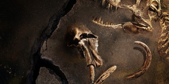 Gezegenimizde Yaşamış En Büyük Hayvanların Gizemini Konu Alan &apos;Kayıp Hayvanların Gizemli Geçmişi' 28 Mart Perşembe 22.00'de National Geographic Ekranlarında Başlıyor!