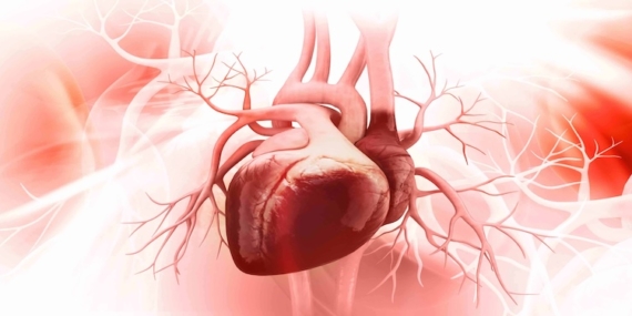 Koroner Bypass Ameliyatı