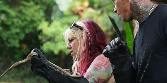 &apos;Şehirdeki Yılanlar: Keşfedilmeyenler Özel' 16 ve 23 Mart Cumartesi 20.00'de National Geographic WILD Ekranlarında!