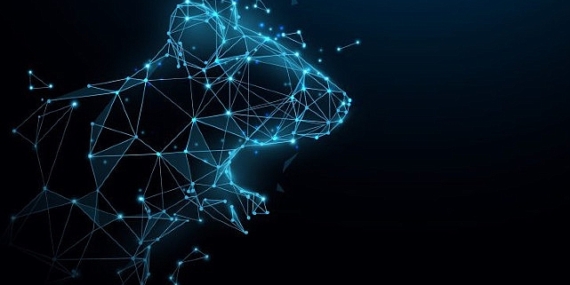 Kaspersky, Türkiye'deki kuruluşları hedef alan DinodasRAT Linux implantını keşfetti