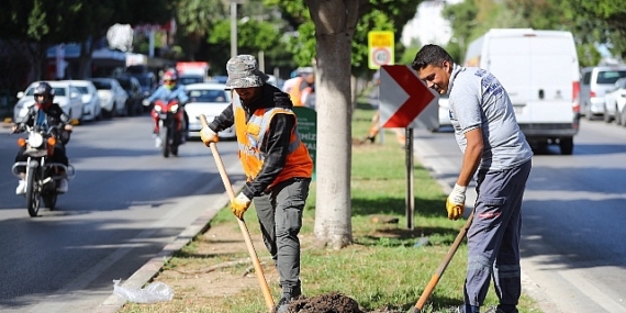 Antalya’da 2 milyon yazlık  çiçek toprakla buluşuyor