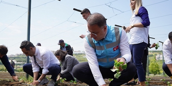 Beylikdüzü Belediyesi tarafından hayata geçirilen ve kent tarımına büyük katkı sunan Yaşam Bahçesi’nde yaz mevsiminin ilk fideleri dikildi