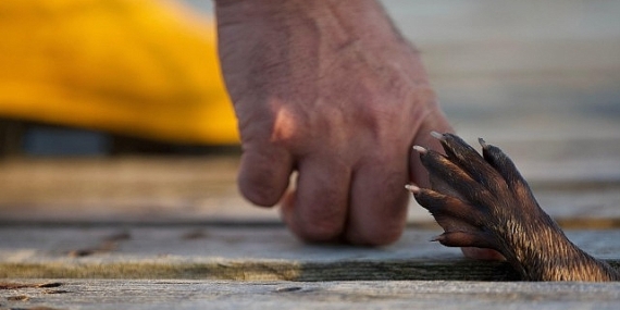 ‘Billy ve Molly: Bambaşka Bir Sevginin Hikayesi’ 26 Mayıs Pazar 21.00’de National Geographic Ekranlarında