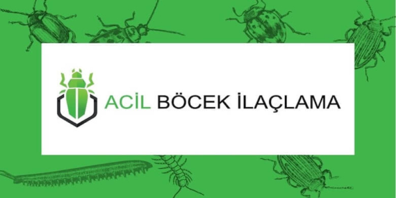 Böcek İlaçlama Fiyatları ve Anadolu Yakası’nda Hizmetler