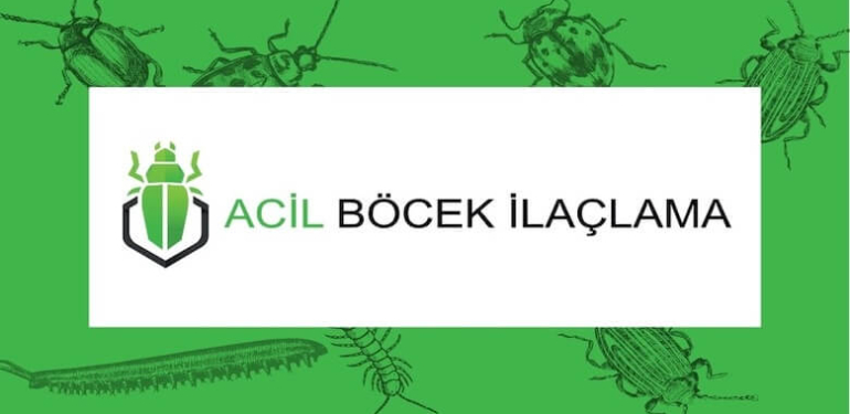 Böcek İlaçlama Fiyatları ve Anadolu Yakası’nda Hizmetler