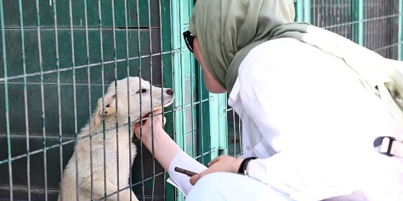 Hayvan Dostu Öğrencilerden Barınağa Ziyaret