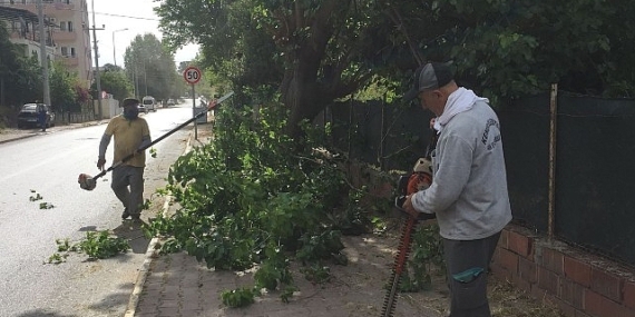 Kemer Belediyesi’nden yeşil alanlarda bakım çalışmaları