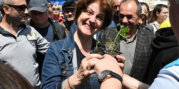 Lüleburgaz Belediyesi’nden vatandaşa atalık fide