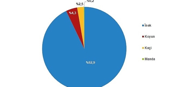 Tüik: Çiğ süt üretimi 2023 yılında %0,4 azalarak 21 milyon 481 bin 567 ton oldu