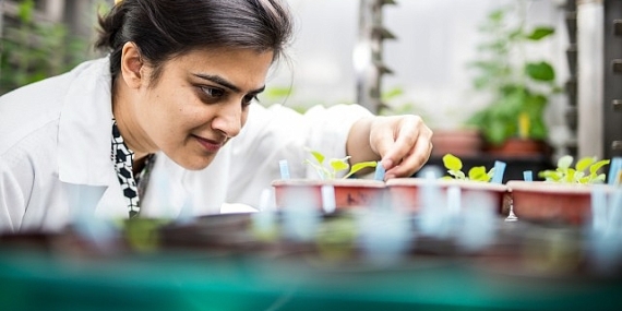 ‘Uluslararası Bilim Ortaklıkları Fonu’ndan yeni araştırma iş birlikleri için 80 bin Sterlin destek