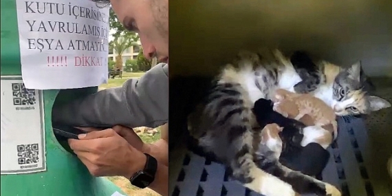 Yavru kedileri Buca Belediyesi ekipleri kurtardı