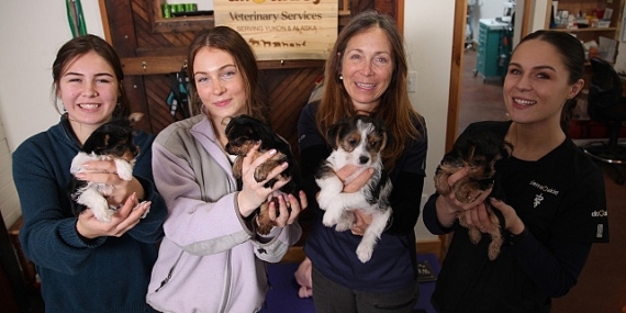 &apos;Yukon Veterineri: Kadınların Öyküleri Özel' 8 Mayıs Çarşamba Günü 20.00'de National Geographic WILD Ekranlarında!