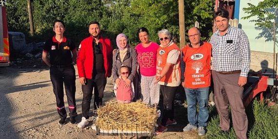 Yuvası yıkılan leyleğe itfaiye ekiplerinin desteği ile yeni yuva