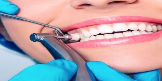 Detertraj Fırçası Hakkında Bilmeniz Gereken Her Şey