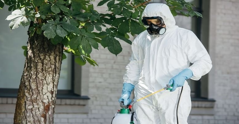 Ev İlaçlama ve Böcek İlaçlama