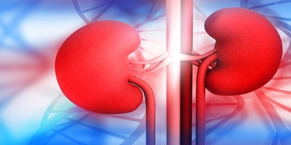 Böbrek Kanseri: Belirtiler, Nedenler ve Tedavi Yöntemleri