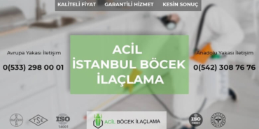 İstanbul Böcek İlaçlama: Evdeki Haşerelerden Kurtulmanın Uzman Yöntemi