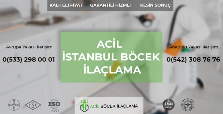 İstanbul Böcek İlaçlama: Evdeki Haşerelerden Kurtulmanın Uzman Yöntemi