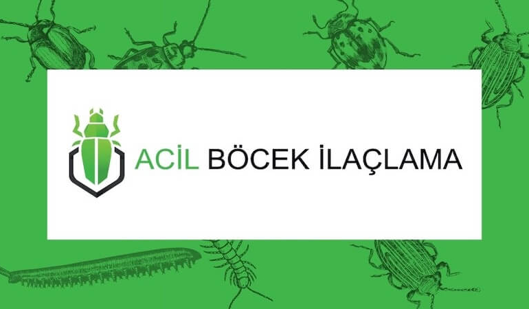 Profesyonel Böcek İlaçlama Hizmeti