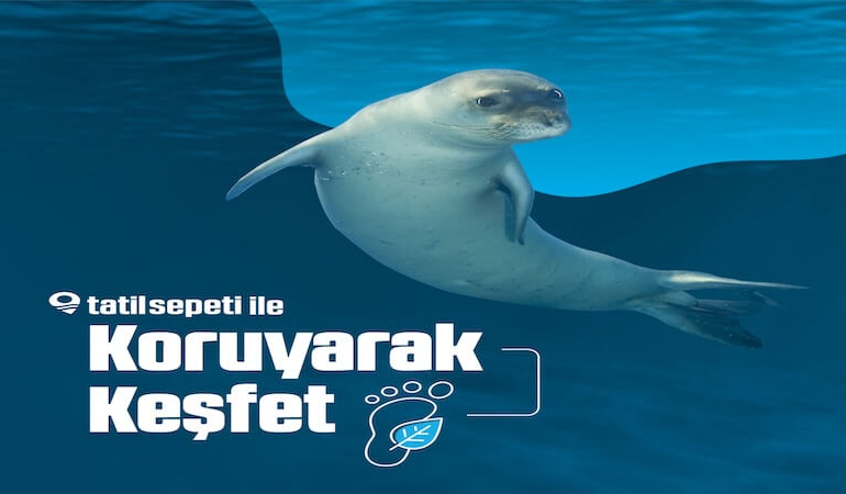 Tatilde Doğayı Koruyarak Keşfedin