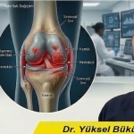 Yaşlanmayla Oluşan Eklem Kıkırdağı Kaybını Önlemek Mümkün mü