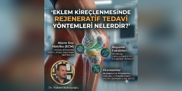 Eklem Kireçlenmesinde Yeni Umut: Eksozom Tedavisi