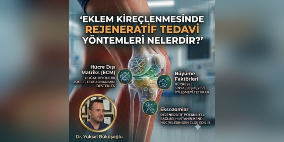 Eklem Kireçlenmesinde Yeni Umut: Eksozom Tedavisi Diz Ağrısı ve Hareket Kısıtlılığının Giderilmesinde Etkili Olabiliyor