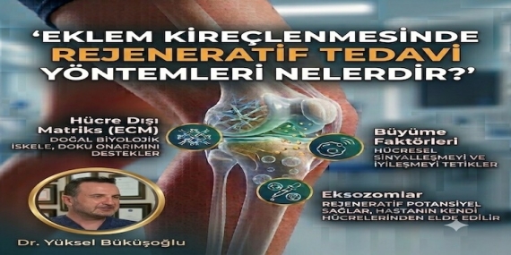 Eklem Kireçlenmesinde Yeni Umut: Eksozom Tedavisi Diz Ağrısı ve Hareket Kısıtlılığının Giderilmesinde Etkili Olabiliyor